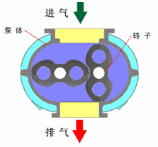 2.gif