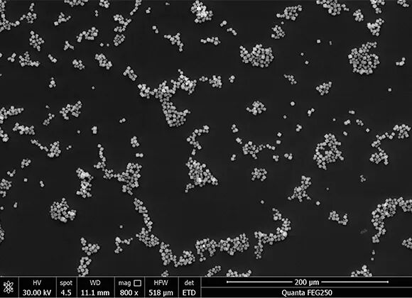 165718_284411_news.jpg 640.jpg